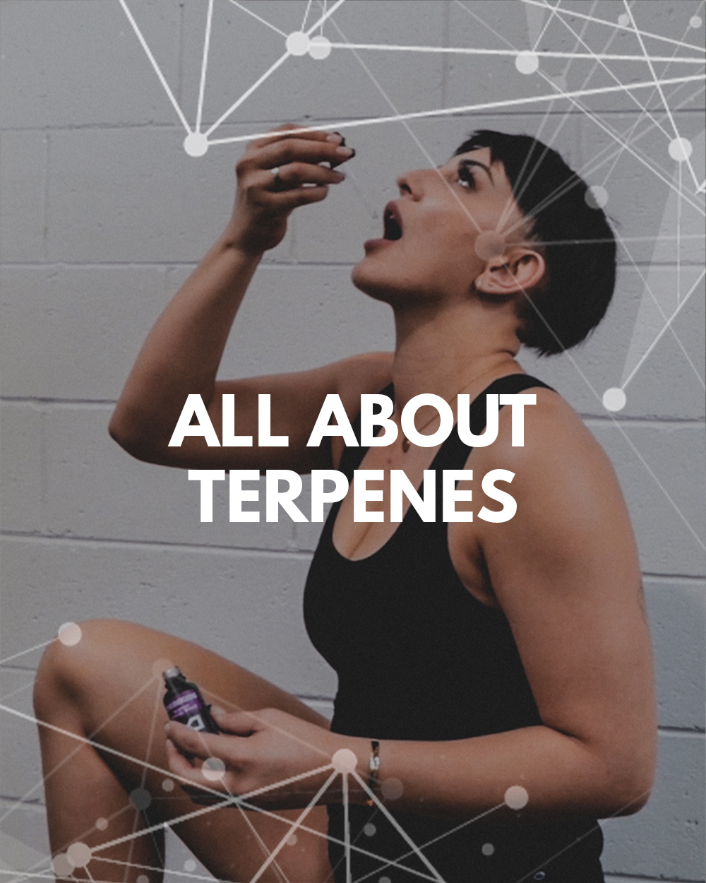 Featured, all about terpenes, active terpene blends, natural energy boost, natural pre workout, Peptides Direct, RegenMed, buy peptides online australia