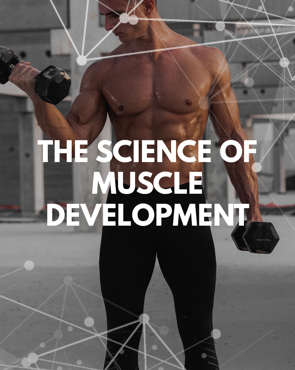 muscle peptides, how to grow muscles with peptides, peptides direct, buy peptides online australia