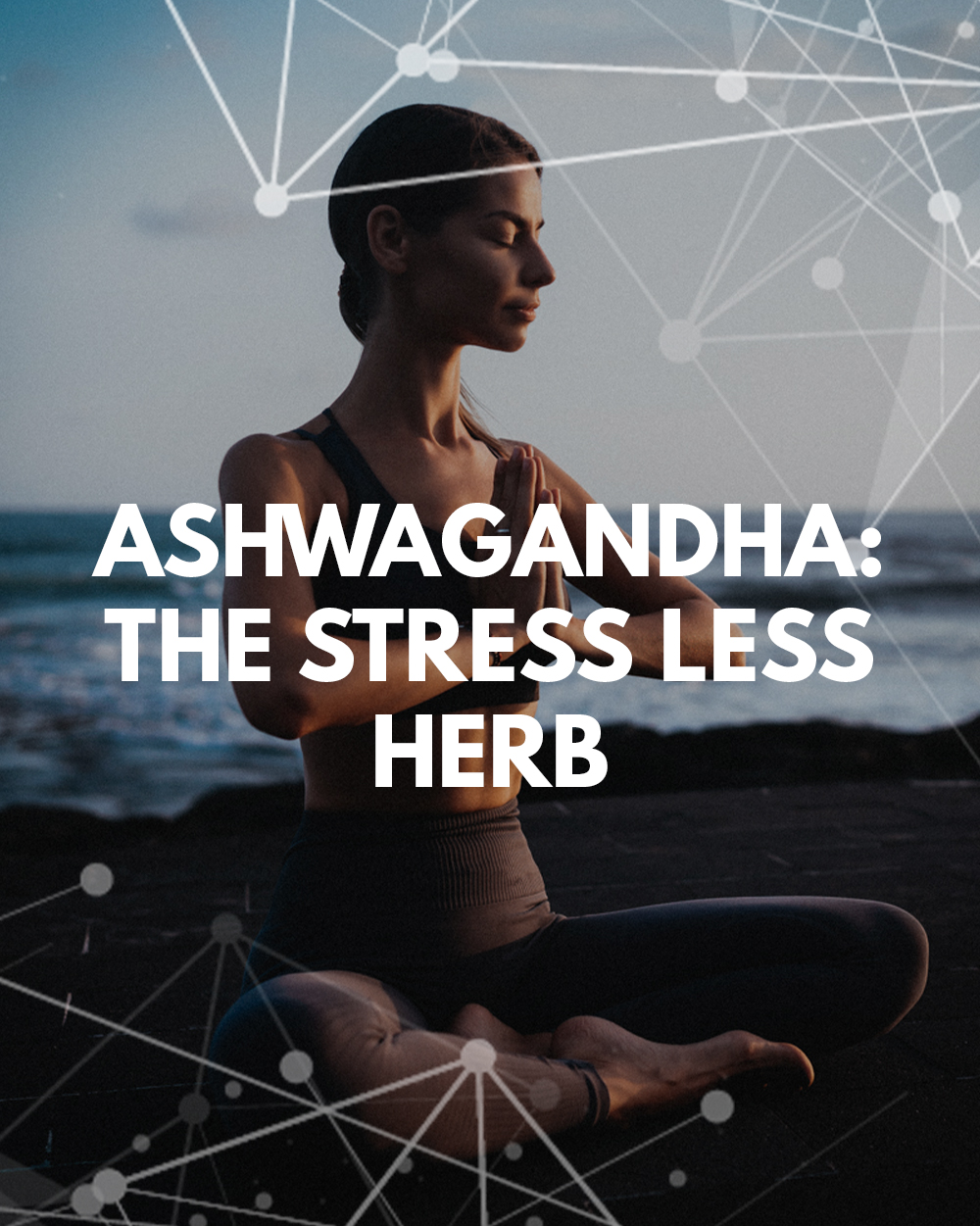 Article - what does ashwagandha do, ashwagandha anxiety, Peptides Direct